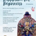 Buddhism For Beginners (2026)